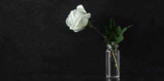 Grieving in the Time of COVID-19 white rose, mourning