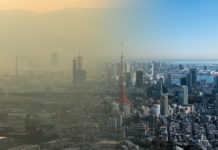 COVID-19: Should we care about the environment in the midst of an economic crisis?