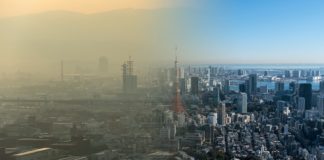 COVID-19: Should we care about the environment in the midst of an economic crisis?