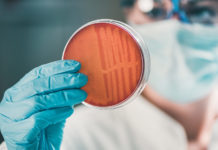 Antibiotics: Blind optimism is dangerous