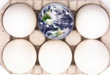 Evolution and creation: closer to the core of the controversy