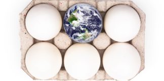 Evolution and creation: closer to the core of the controversy