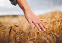 Peace of mind, and peace forever