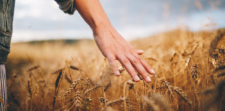 Peace of mind, and peace forever