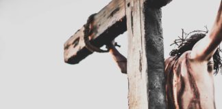 The opposite of love is not hatred (part 2)