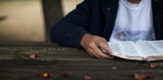 The young man who brought us the mirror