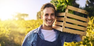 What we lost when we gave up the land