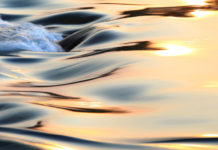 Life as a river (an imaginary but possible interview)