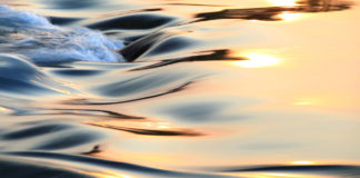 Life as a river (an imaginary but possible interview)