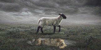 The hour of His judgment