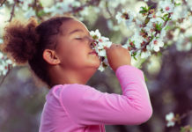 How you can get your sense of smell back after a cold sense of smell