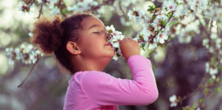 How you can get your sense of smell back after a cold sense of smell