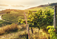 Injustice and God: Is He the wrongdoer or the one wronged? injustice