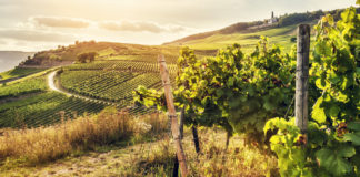 Injustice and God: Is He the wrongdoer or the one wronged? injustice