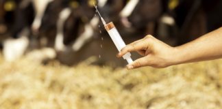 Second-hand antibiotics antibiotics