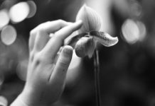 Defined by sensitivity: Helping orchid children flourish orchid children