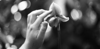 Defined by sensitivity: Helping orchid children flourish orchid children