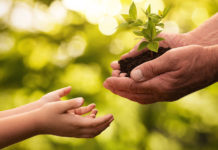 Christ in them gospel stories