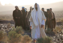 Jesus: The Word and His words Jesus