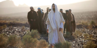 Jesus: The Word and His words Jesus