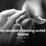 Defined by sensitivity_Helping orchid children flourish