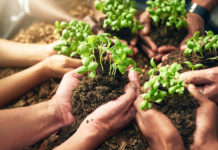 Looking back on small acts of great kindness