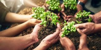 Looking back on small acts of great kindness