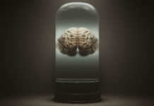 More than a brain in a jar brain