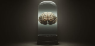 More than a brain in a jar brain