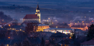 Beyond the fish and the fishing line City by night
