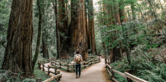 Choosing happy how to be happy