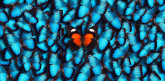 How to embrace change without changing who we are embrace change