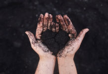 The faith in our hearts faith