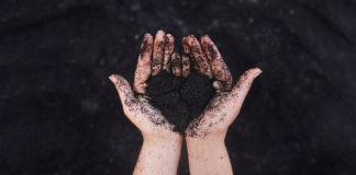 The faith in our hearts faith