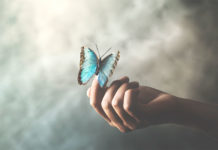 How do I learn to really enjoy life? slow living