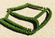 What does the Bible say about climate change? climate change