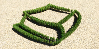 What does the Bible say about climate change? climate change