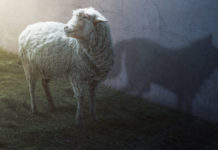 The counterfeit motif in the apocalyptic scenario apocalyptic scenario