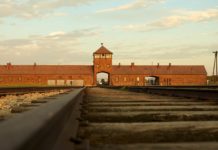 God on trial god on trial