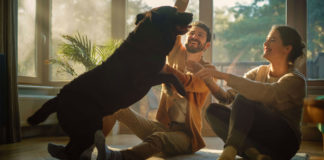 Pets: Our help for a better life pets