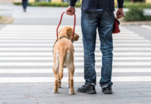 Tony Giles and the courage to feel the world tony giles