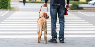 Tony Giles and the courage to feel the world tony giles