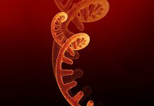 COVID-19 mRNA vaccines mRNA vaccines