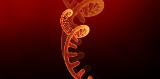 COVID-19 mRNA vaccines mRNA vaccines