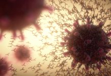 What is in the COVID-19 vaccines and what do they leave in the body? what is in the COVID-19 vaccines