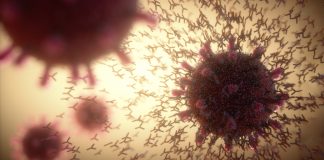 What is in the COVID-19 vaccines and what do they leave in the body? what is in the COVID-19 vaccines