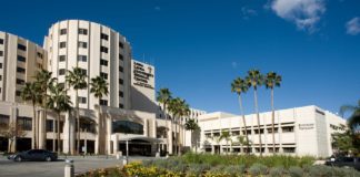 Food and health with Dr Michael Orlich of the Loma Linda University Medical Center food and health