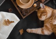 Hygge your life hygge