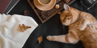 Hygge your life hygge