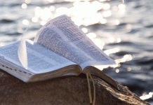 How to build (and how to dilute) a biblical worldview biblical worldview